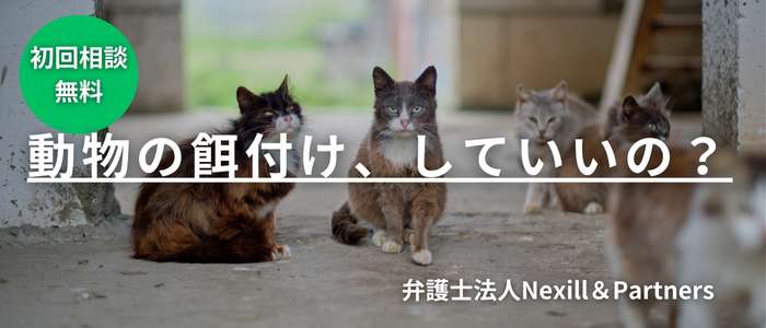 動物の餌付け、していいの？